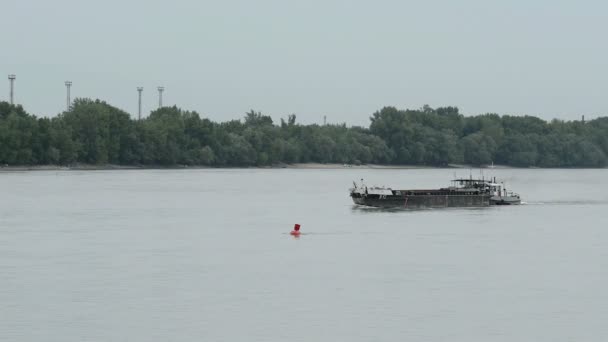 Grande nave da carico in movimento acqua — Video Stock