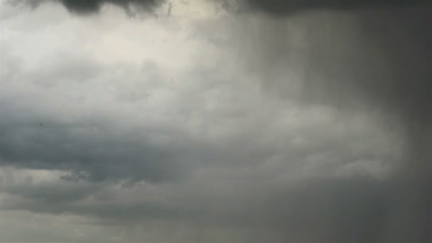 Regen ergießt sich mit Sonnenlicht — Stockvideo