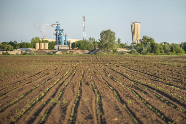 Primer plano de la tierra cultivada — Foto de Stock