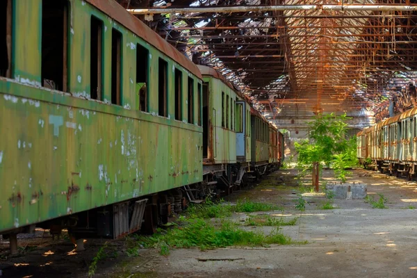 Trens de carga em depósito de trem antigo — Fotografia de Stock