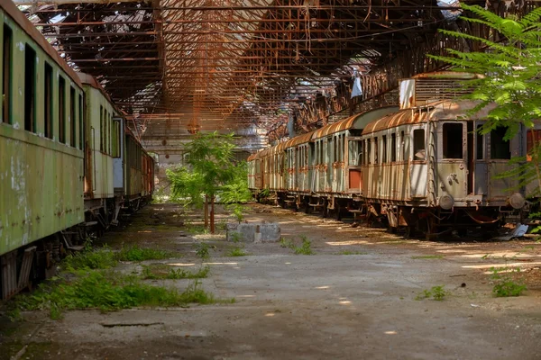 Cargo trains in old train depot — Stock Photo, Image