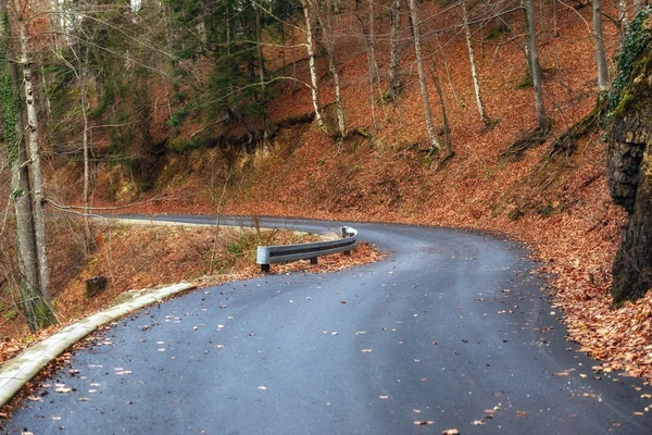 Strada in autunno paesaggio forestale — Foto Stock