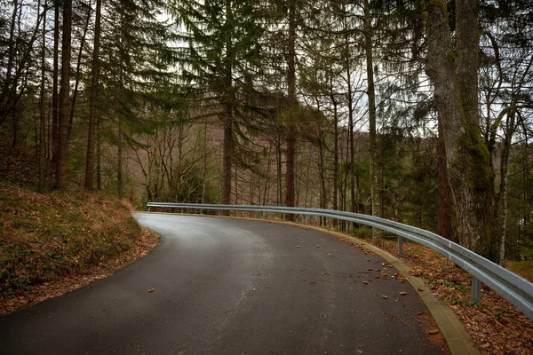 Road in autumn forest landscape — Stock Photo, Image