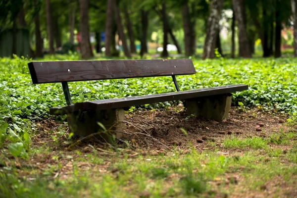 Стильная скамейка в осеннем парке — стоковое фото