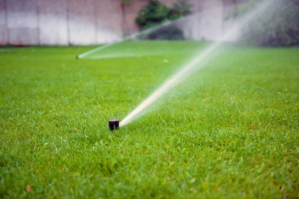 Gras Sprinkler close-up foto — Stockfoto