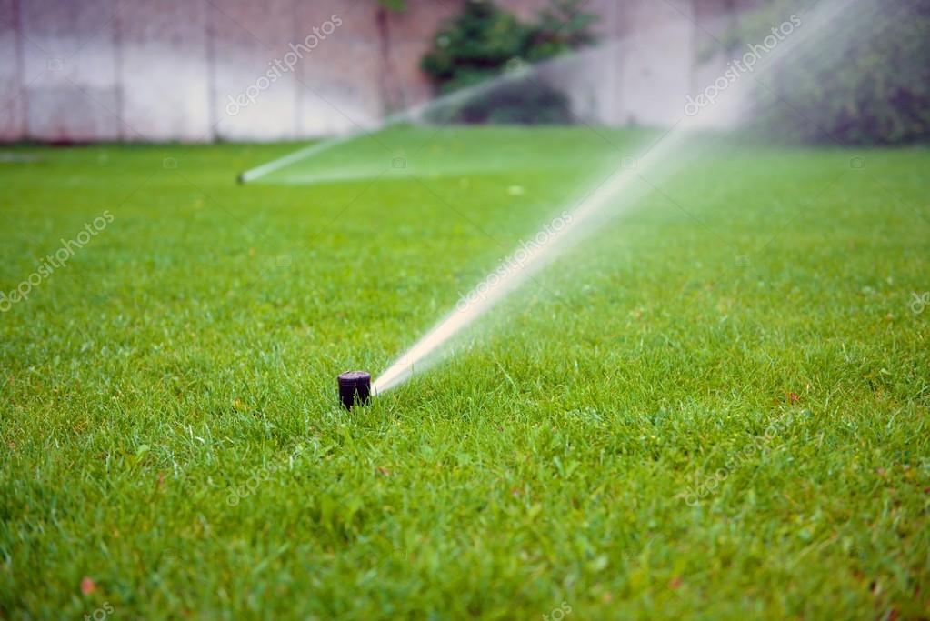 Grass Sprinkler closeup photo — Stock Photo © svedoliver 66899067