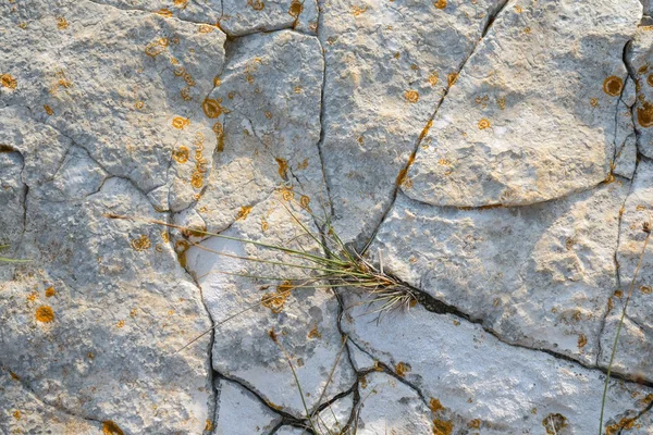 Åldern rock textur bakgrund — Stockfoto