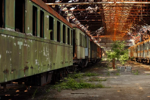 Treni merci nel vecchio deposito ferroviario — Foto Stock