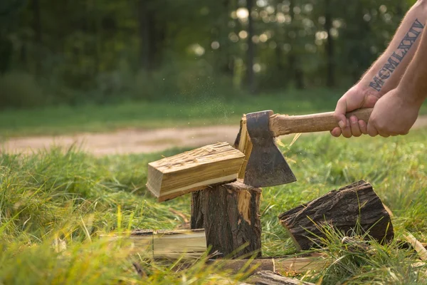 Firewood and old axe — Stock Photo, Image
