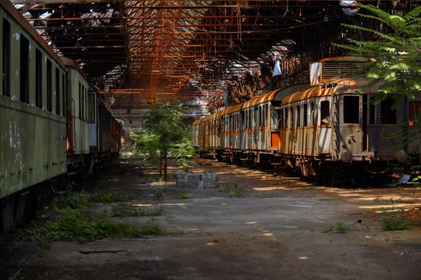 Yük trenleri eski tren depo içinde — Stok fotoğraf