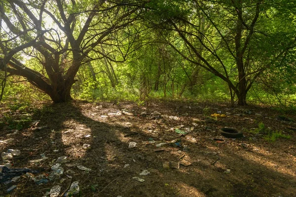 Lastbil däck i leran — Stockfoto