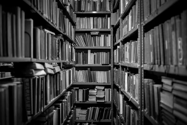 Biblioteca interna con libri — Foto Stock