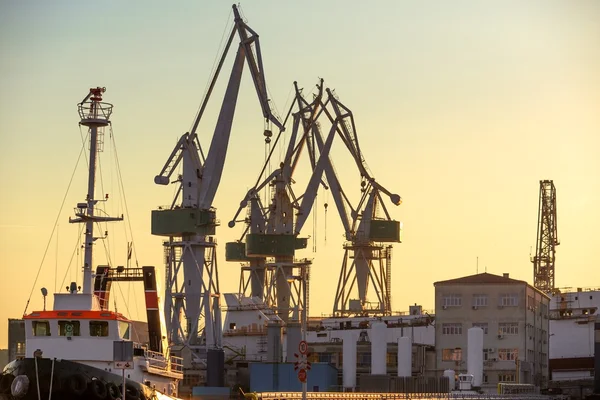 Industriefrachtkräne im Dock — Stockfoto