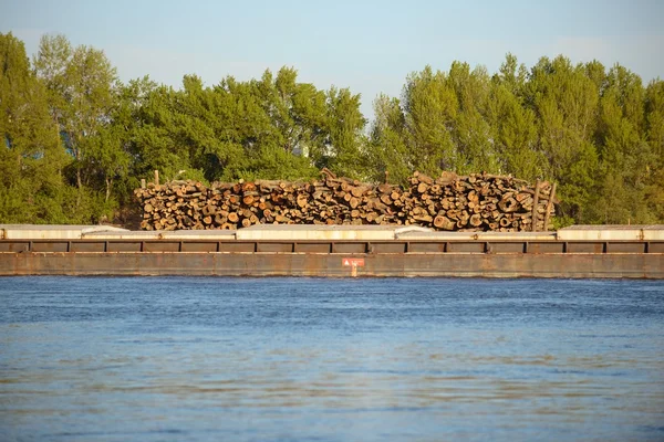 Holzstämme auf dem Boot transportiert — Stockfoto