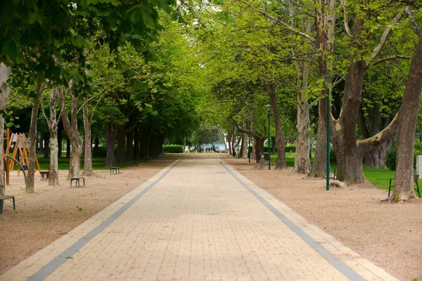 Jalan kecil akan melalui taman. — Stok Foto