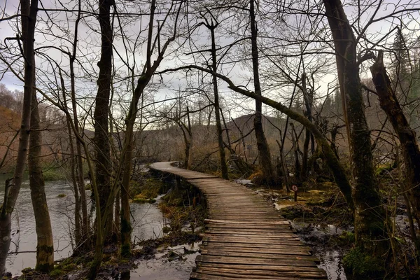 Wooden path trough the lakes — Stock Photo, Image