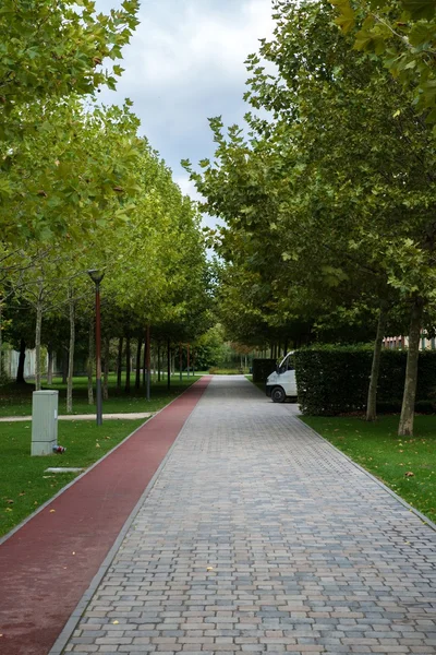 Sentiero pedonale nel parco — Foto Stock