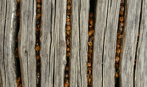 Крупним планом фото дерев'яних підлогових панелей — стокове фото