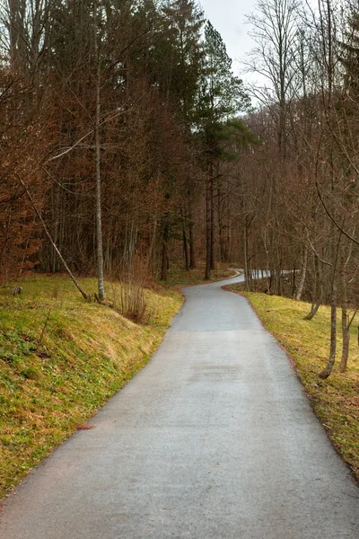 Pequeño camino que atraviesa el bosque — Foto de Stock