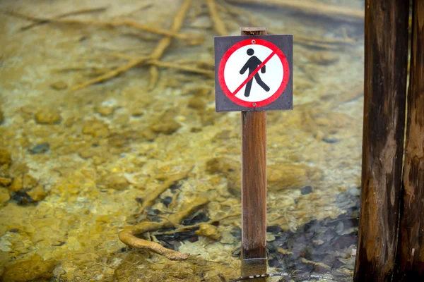 Dont step into the water — Stock Photo, Image