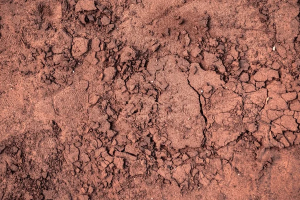 Nahaufnahme trockener Böden vor Regen — Stockfoto