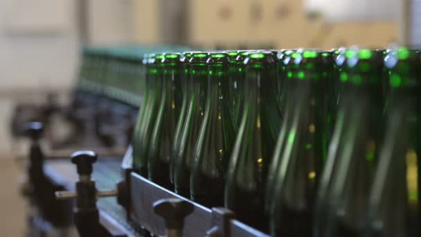 Sok üveg van a szállítószalagon. — Stock videók