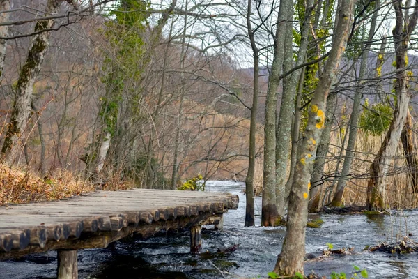 Fából készült kerti ösvény vályú a tavak — Stock Fotó