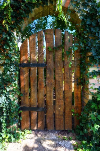 Старая деревянная дверь — стоковое фото