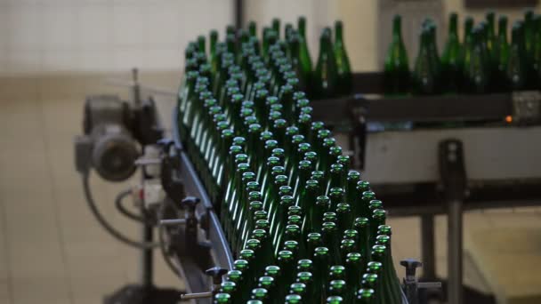 Many bottles on conveyor belt — Stock Video