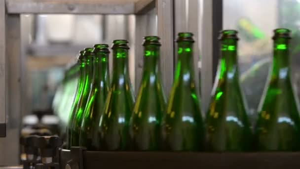 Many bottles on conveyor belt — Stock Video