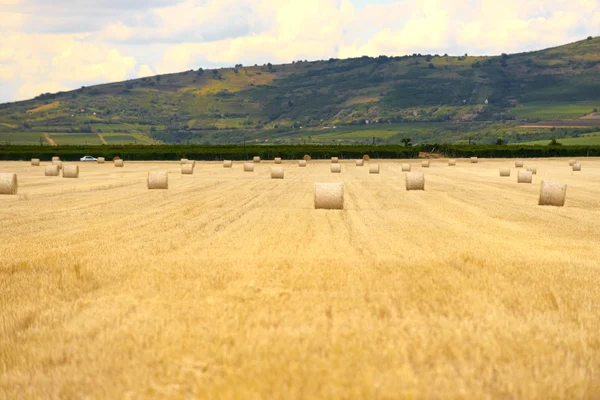 Hö bails på fältet — Stockfoto