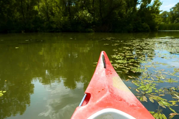 호수에 카누 — 스톡 사진