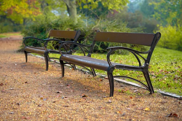 Stylish bench in autumn park — Stock Photo, Image