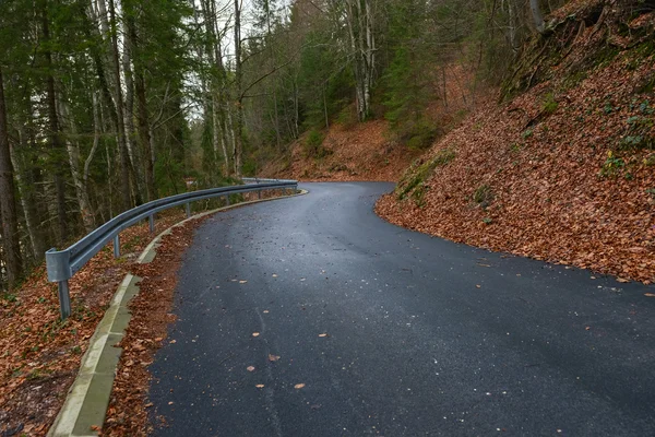 Strada in autunno paesaggio forestale — Foto Stock