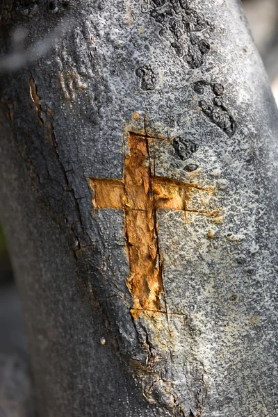 Wooden cross carved in wood — Stock Photo, Image