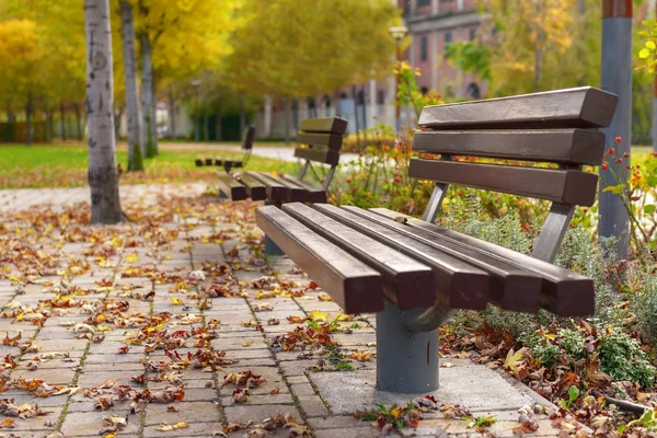 Elegante banco en el parque de otoño — Foto de Stock