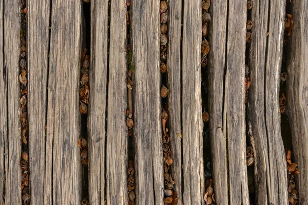 Foto de primer plano de paneles de madera —  Fotos de Stock