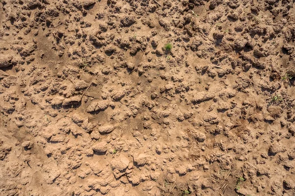 雨の前に乾燥した土壌のクローズ アップ — ストック写真