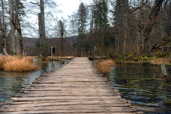 Sentiero in legno attraverso i laghi — Foto Stock