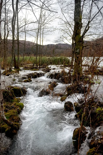 Fast mountain creek flowing — Stock Photo, Image