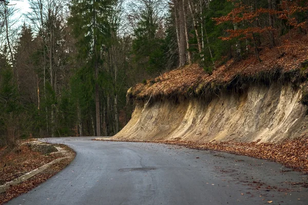 Strada in autunno paesaggio forestale — Foto Stock