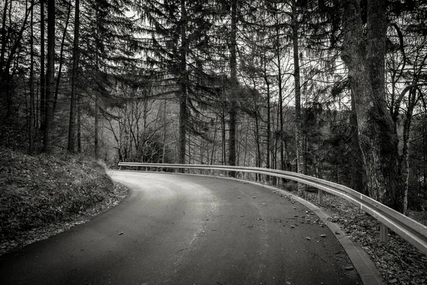 Route en automne paysage forestier — Photo