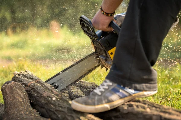 Gasoline powered professional chainsaw — Stock Photo, Image