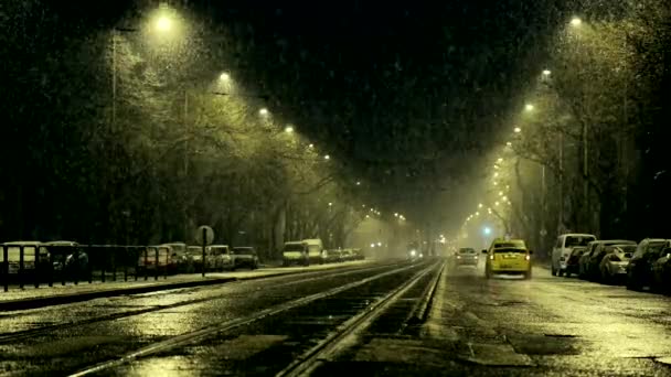 Nieva fuerte por la noche — Vídeo de stock