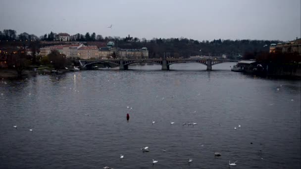 Prager Altstadt mit Brücke — Stockvideo