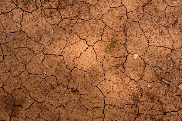Nahaufnahme trockener Böden vor Regen — Stockfoto