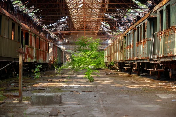 Trenes de carga en el antiguo depósito de trenes — Foto de Stock