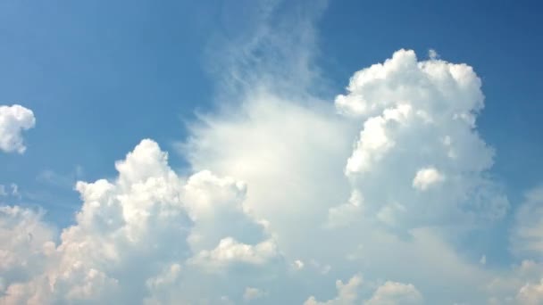 Witte pluizige wolken — Stockvideo