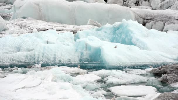 Blå isberg flyter på Jokunsarlon glaciala lagun — Stockvideo