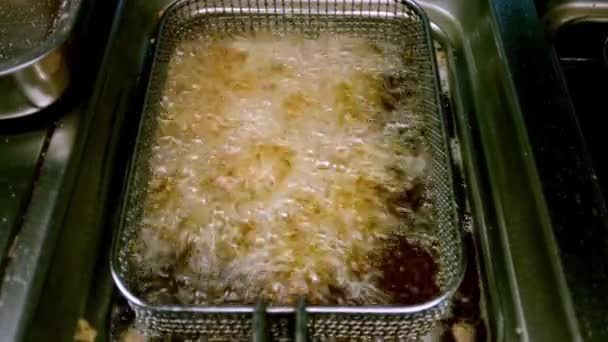 Matlagning pommes frites — Stockvideo